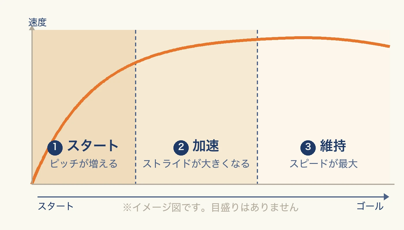 50m走の速度変化のイメージ図。スタートでピッチが増え、加速でストライドが大きくなり、維持でスピードが最大になる流れを示した模式図(目盛りはありません)